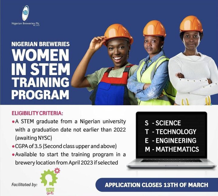 Call for Applications: Nigerian Breweries Women-in-STEM Training (pre-internship) Program 2023