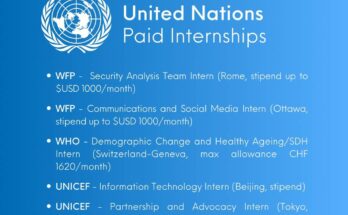 Internship for Partnership and Advocacy, PPD Tokyo, Japan