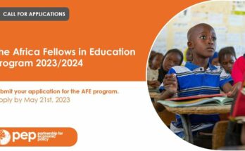 The Africa Fellows in Education Program 2023/2024 for young African researchers