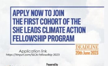 She Leads Climate Action Fellowship 2023 for Nigerians