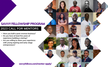 Call for Mentors: Savvy Global Fellowship Program Summer 2023