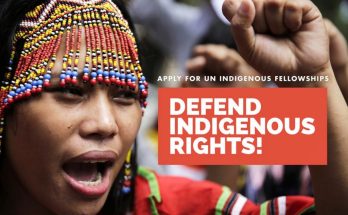 UN OHCHR Indigenous Fellowship Program 2024 |Fully-funded