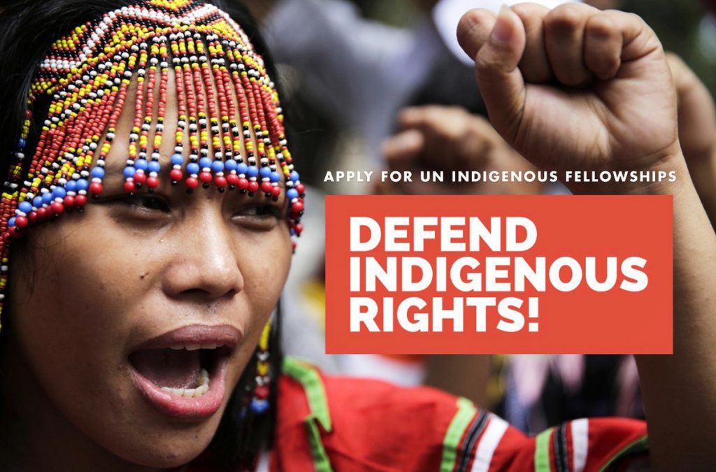 UN OHCHR Indigenous Fellowship Program 2024 Fullyfunded