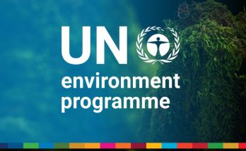 Program Management Officer P3 Vacancy at the United Nations Environment Programme UNEP
