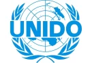 Industrial Development Intern Opportunity at the United Nations Industrial Development Organization |UNIDO