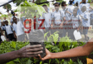 GIZ is hiring! Junior consultant in the global project “Forests4Future”