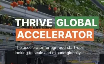 THRIVE Global Accelerator Program for Innovative AgriTech and FoodTech Startups 2024