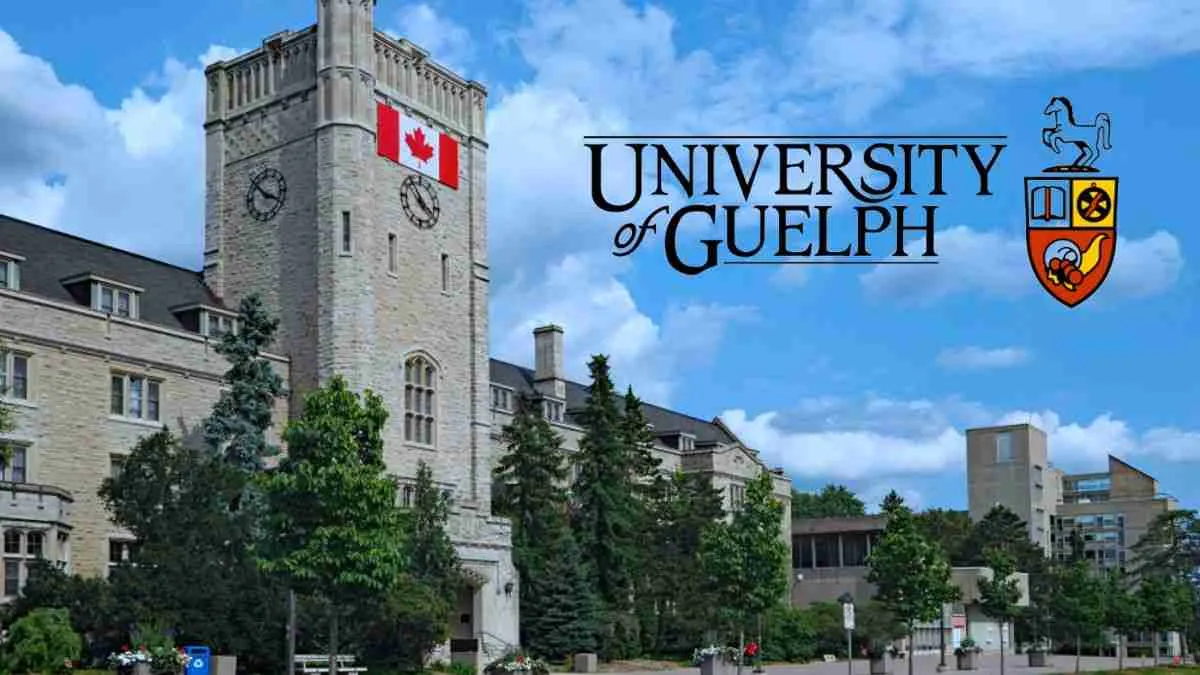 Fully Funded University of Guelph Scholarships in Canada 2024 Free Apply Online